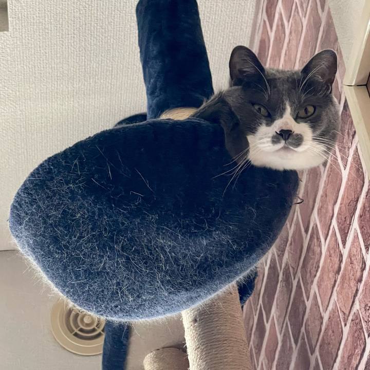 8d758ffd c5ad 47fb 992f b04779e1b985 1649996632061