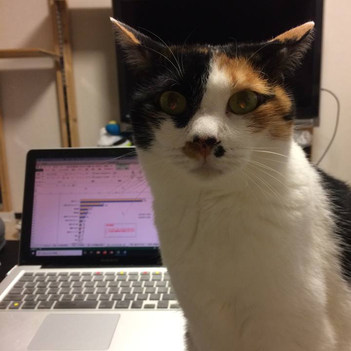 8d7592fd 7e52 4f42 964e a18107f5af4d 1586355517077