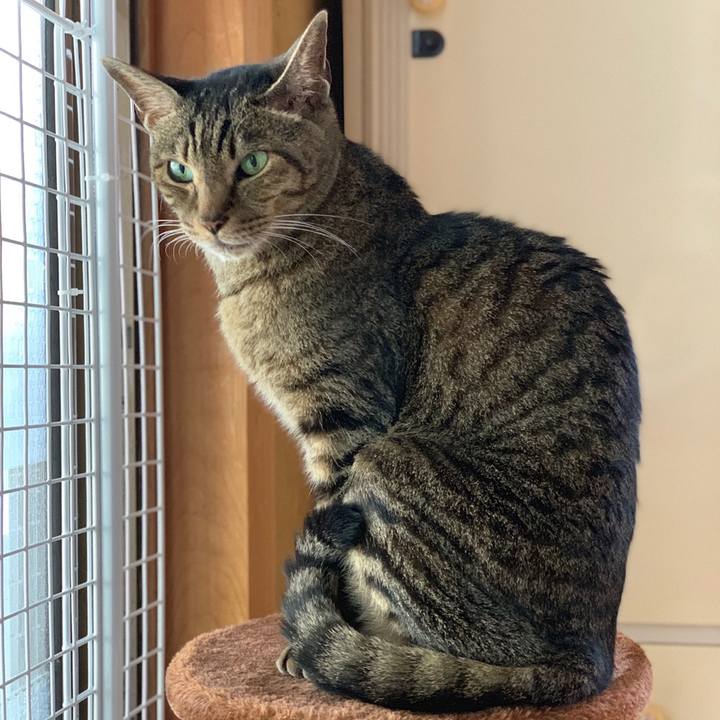 8d759483 7af2 48b7 ab9d 217b0a14e422 1558486509543