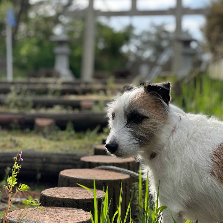 8d75a5fa 9da7 41ee 858d 980d38dca976 1618699256410