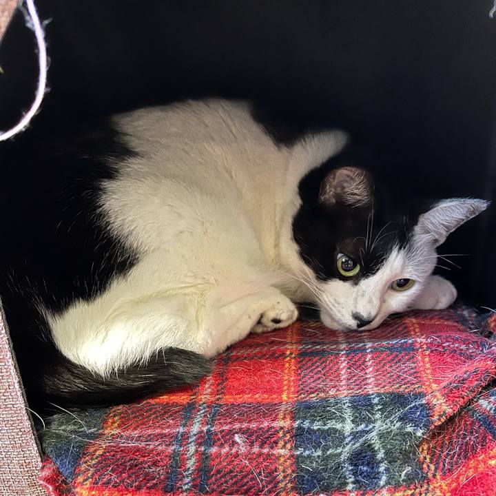 8d75a634 3e4a 4cef bc9b e342d0d69205 1763506227250