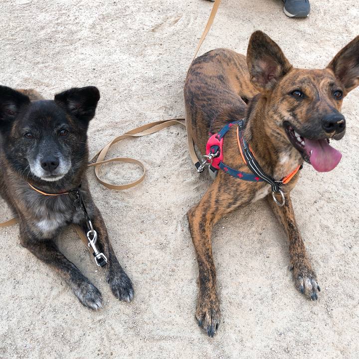 8d75ac9b d746 4c62 ab03 5ee26b3986e8 1590325668474