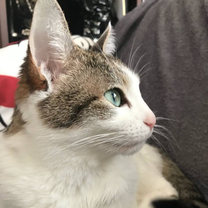 8d75cecd e83b 4a99 976d 6f30c9733619 1732551523927