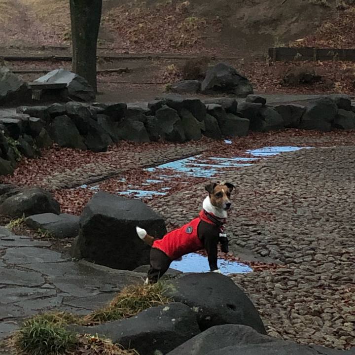 8d75d24e 3e61 4f43 8ec4 6ea0748b1e67 1551393929559