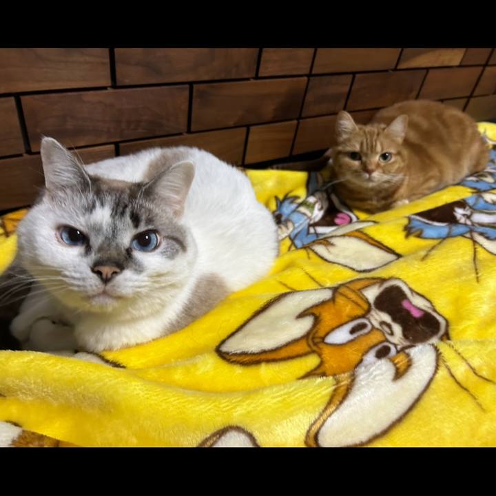 8d75f5e0 5c2f 48a1 a701 f6c2187413b2 1709170851997