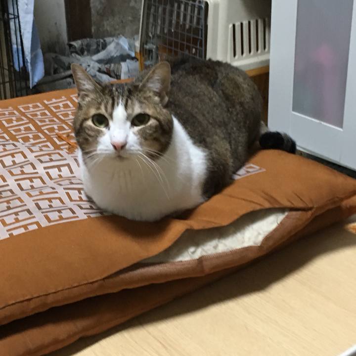 8d75fdd6 4127 4e55 8133 10eaf888f7b0 1559216741328