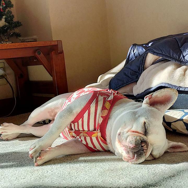 8d7610e6 e5ee 42f0 8a58 c6e42c978700 1640048535452