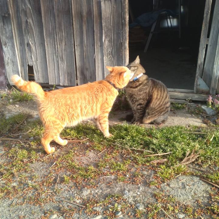 8d76149e 31f6 4440 b324 7df9e6f0962a 1681340677821