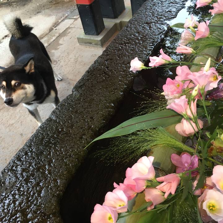 8d763a3d 9821 4d96 bbd1 2c85092b1adf 1630737464894