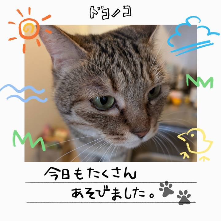 8d765275 c598 474f 9041 5b758c929883 1755301212710