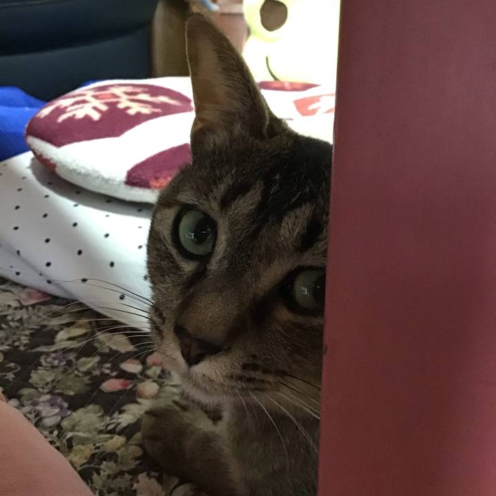 8d767008 e44e 4fae a0f6 1fe909c95244 1593727928191