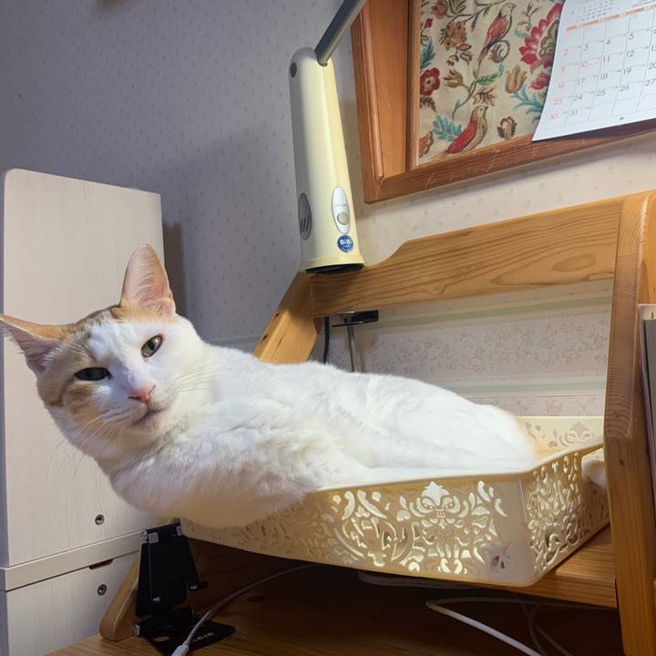 8d7676df 1335 4689 8339 f9c2a530679e 1665493127500