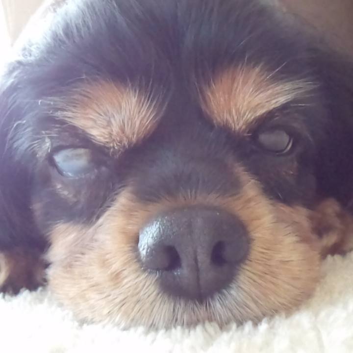 8d768883 a029 4d7e bf54 03602cefe321 1558531861300