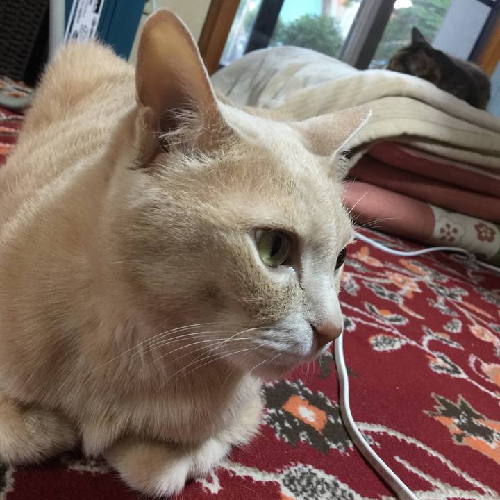 8d76b666 9d43 4796 a1c3 6da99aa3226e 1624527918048