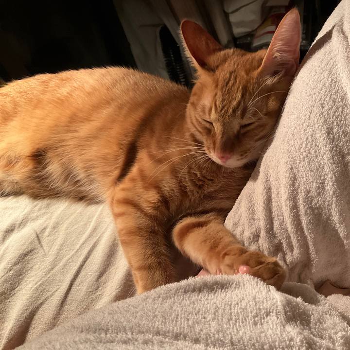 8d76dbc5 2380 421d 94dc a78c1a0f95f3 1632862725873