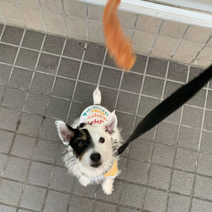 8d76ed78 b0c4 40e2 b2ff bd62896dc0df 1667721864305