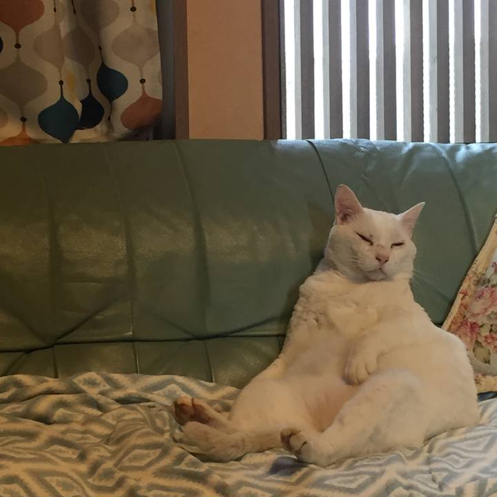 8d773c0c a1c2 4e2c 9029 3eaeb41e3f7b 1537138563150