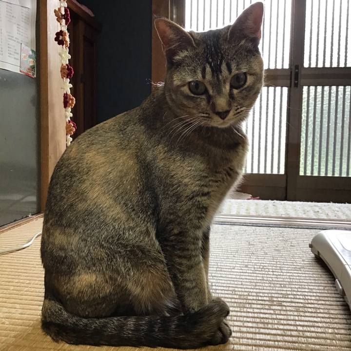 8d7750e6 dacd 46db 8300 5e0023056759 1587345131438