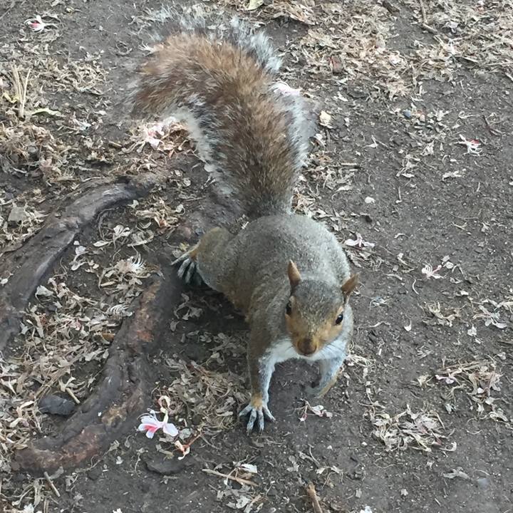 8d7754d2 137d 4efd 9113 4f66a2959170 1528871654887