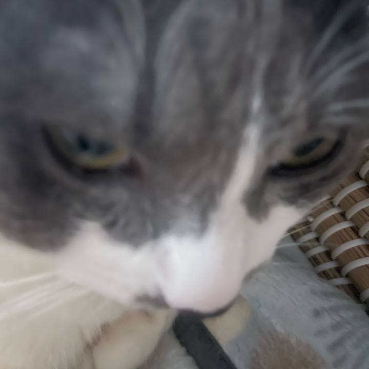 8d777784 a736 439c bcbd b9d1226db419 1749868074950