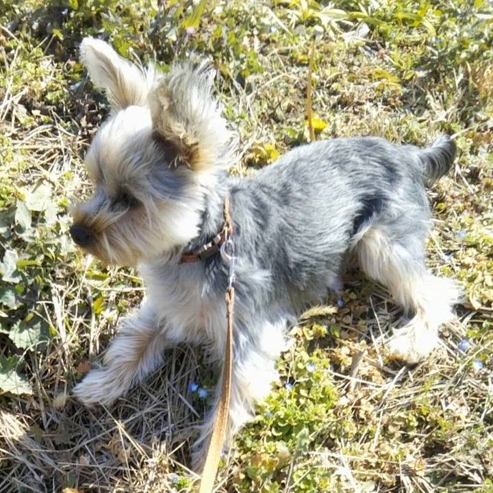 8d77a471 2f0b 40ab 85f1 86241ca31106 1550903423367