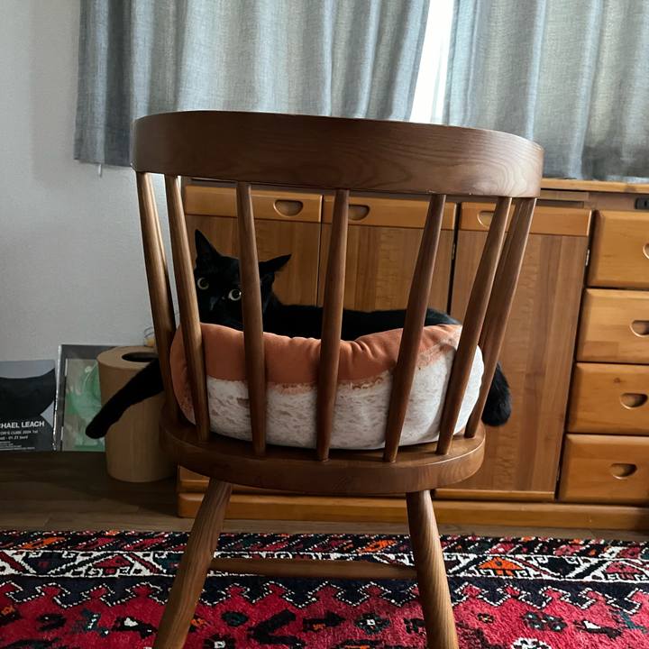 8d77a7bc cc4a 4b2c 8470 c860f3210217 1726989493815