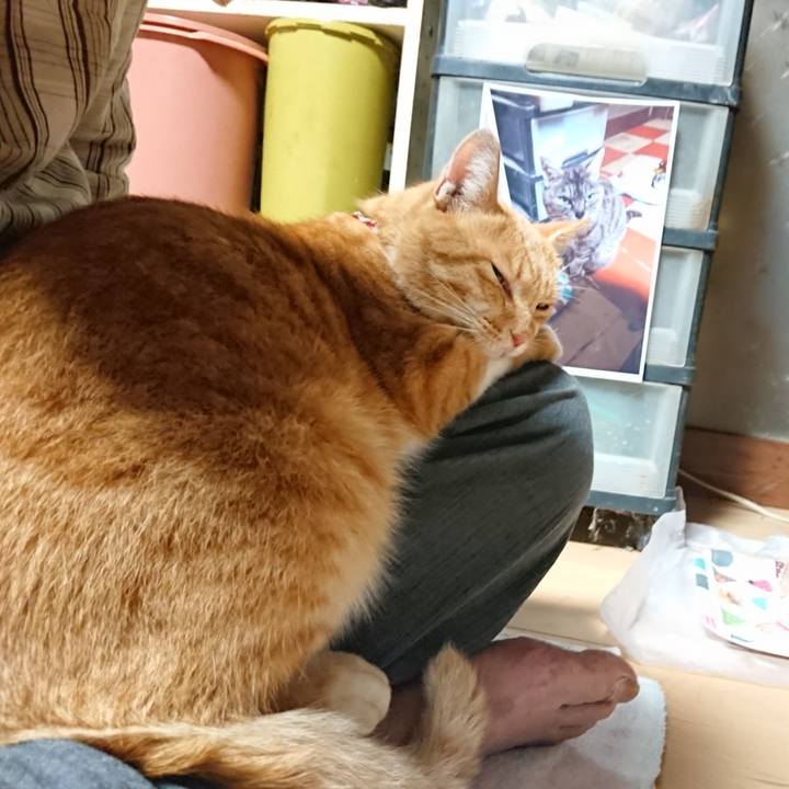 8d77b614 28fb 45e9 913e 0eb89e376348 1600893912559