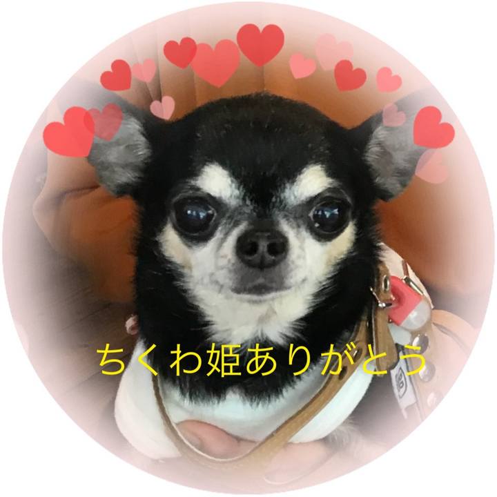 8d77bff1 2921 4ec9 be9f ac112f901b01 1744369715794