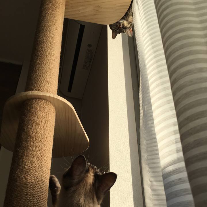 8d77d90e 1913 49c9 94d0 b58646f8fec8 1582756383191