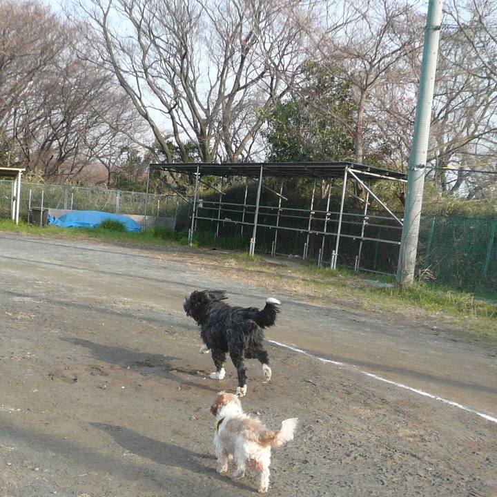 8d77eb30 0fea 4e1f a385 945f8f193a3e 1520328142593