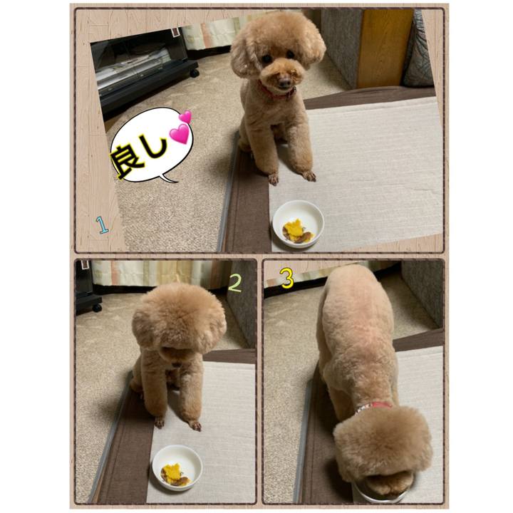 8d77f5ff 73de 4d69 89bf ef1c338e8571 1543227413483