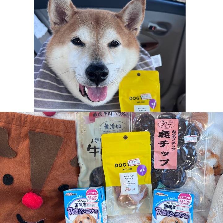 8d78178c 9b0d 42e7 a70b b20c72e2cbe8 1702531734888