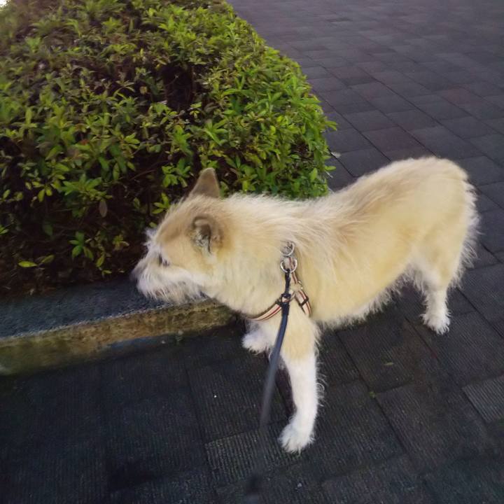 8d782894 112a 4189 84ad 8c72db5e79fd 1560943061989