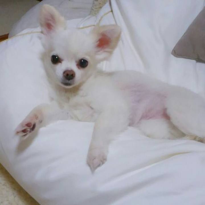 8d78465d 17a3 4735 8979 fa0cb0536919 1564057209681