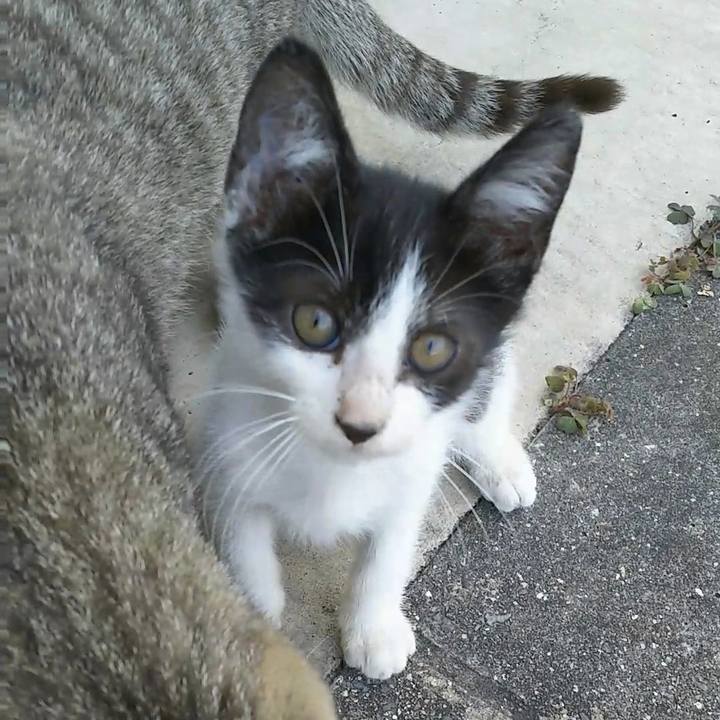 8d787702 dc4f 43e8 9c86 d6b51c3ec0b1 1556099455005