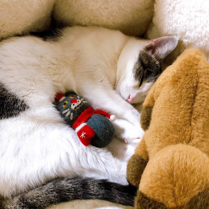 8d789480 3039 46da 9db1 48cd31bb861d 1608815785422