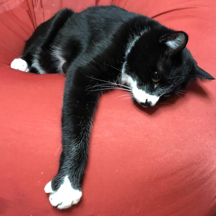 8d78a673 2516 475a a329 f28eaddc7ad3 1550392921111