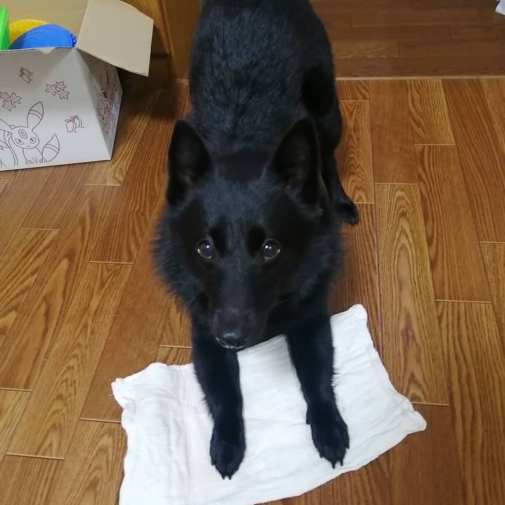 8d78c6fb d482 4807 96f3 6176dece7625 1630921878153