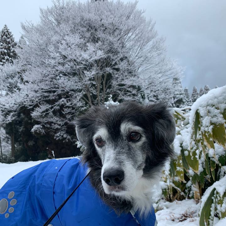 8d78e23c 8300 4a76 b636 29bee1d50112 1674794061344