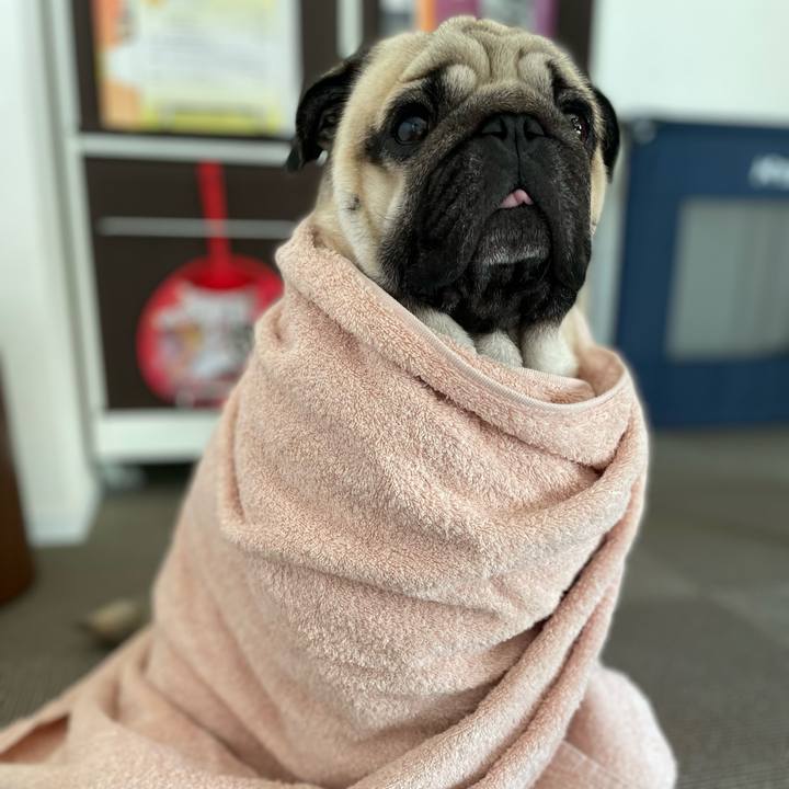 8d78fd9b 10de 451a aca8 858b978bb3a5 1637296161129