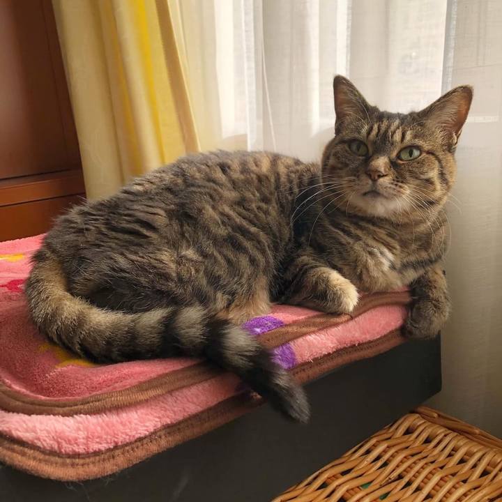 8d79610e 6aa8 499b 93a0 1edcaeb0dc19 1765547782579