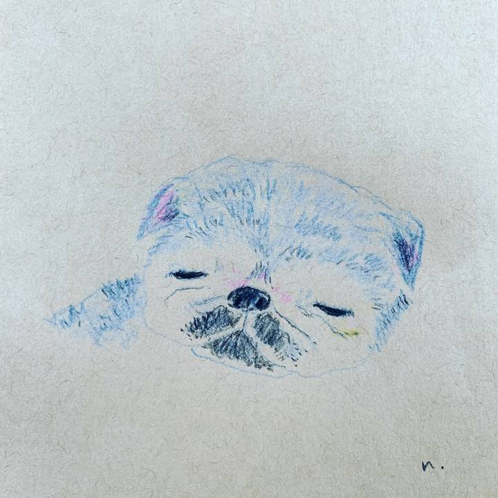 8d799a42 f252 476a 87e6 930af2af4071 1626477384758