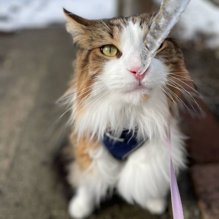 8d799db3 b0a5 4dbb bba9 dc6751149770 1677115619600