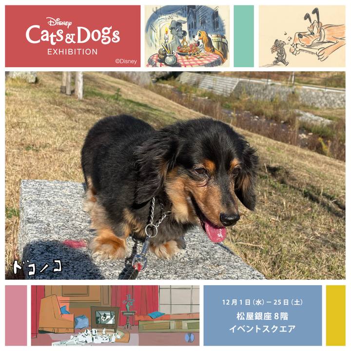 8d79c984 8f03 4e33 a5ea 81cef120cd49 1638396424924