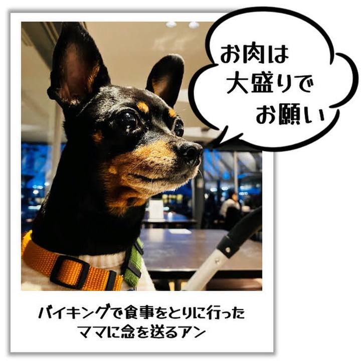 8d79dfd4 daf6 4b10 a067 583929af19e0 1728338592607