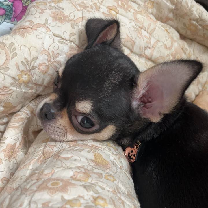 8d7a1bf5 f86a 4821 8e3f d9ce58c29829 1719123138453