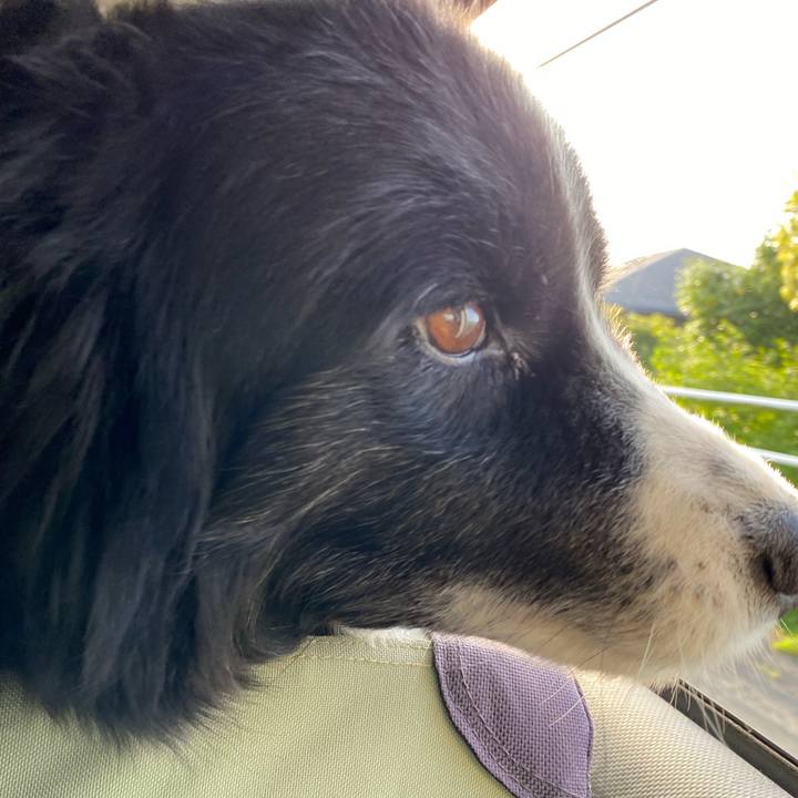 8d7a230b 5a37 4766 8110 bf4d12a83151 1681941808425