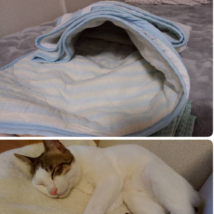 8d7a745e 7e7a 4e43 b9e4 97fa92bd7cdb 1660820979048