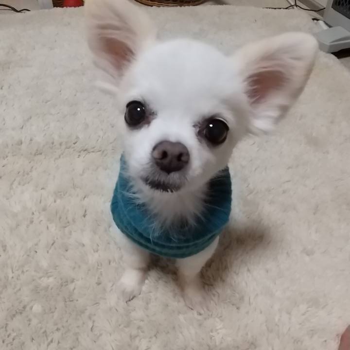 8d7a7a29 d5fc 4b81 bf25 a0ee889b2fb7 1575985977976