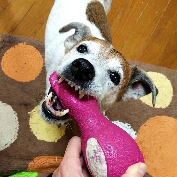 8d7aa4ab 041f 4f83 b999 867cfdbd02b7 1551737949159